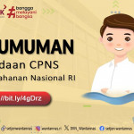 Pengumuman Pengadaan CPNS Wantannas RI Tahun 2024