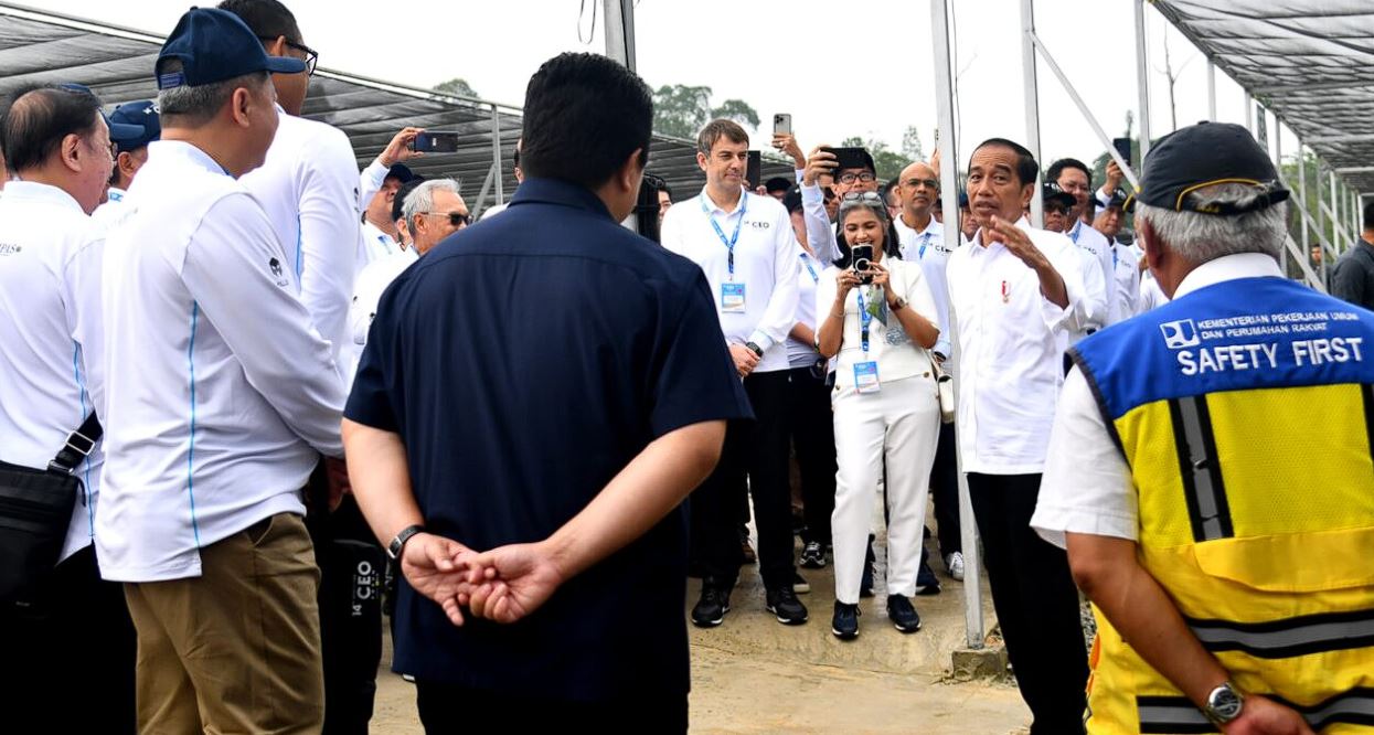 Presiden Jokowi Ajak Sejumlah Pemimpin Perusahaan Tinjau Persemaian Mentawir