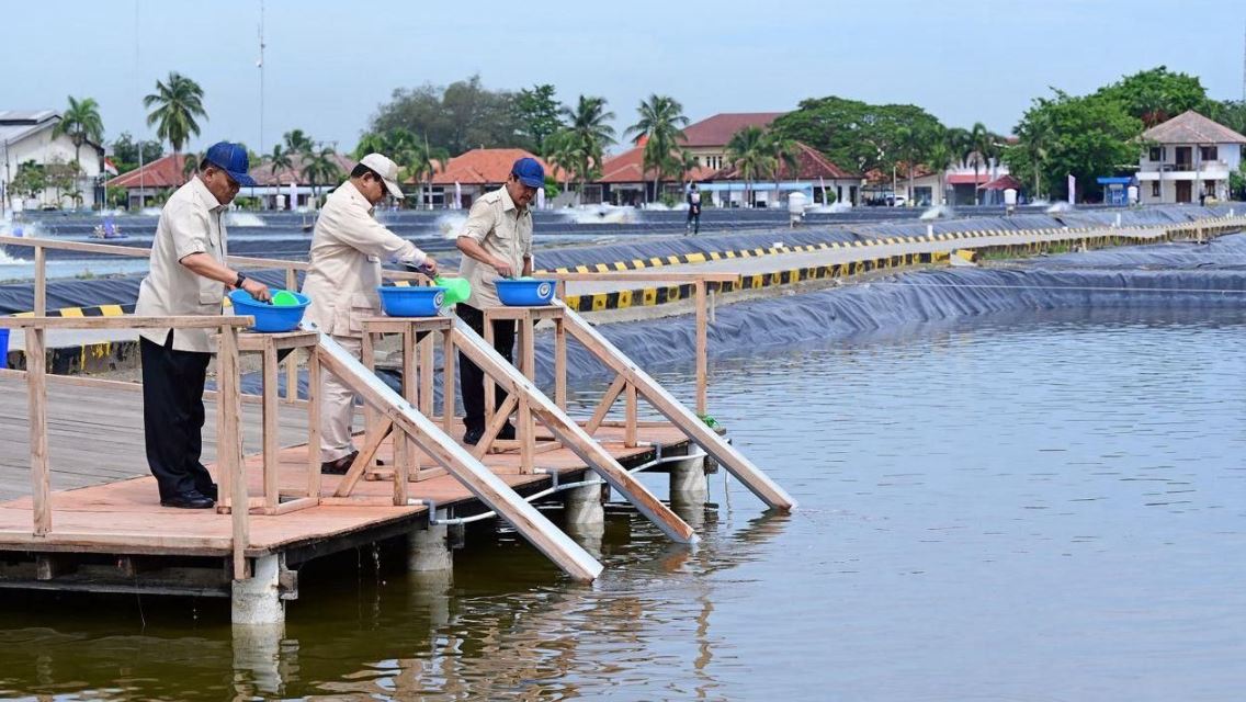 Presiden Prabowo Subianto Tinjau Kawasan BLUPPB Karawang, Dorong Swasembada Pangan dan Ekonomi Biru