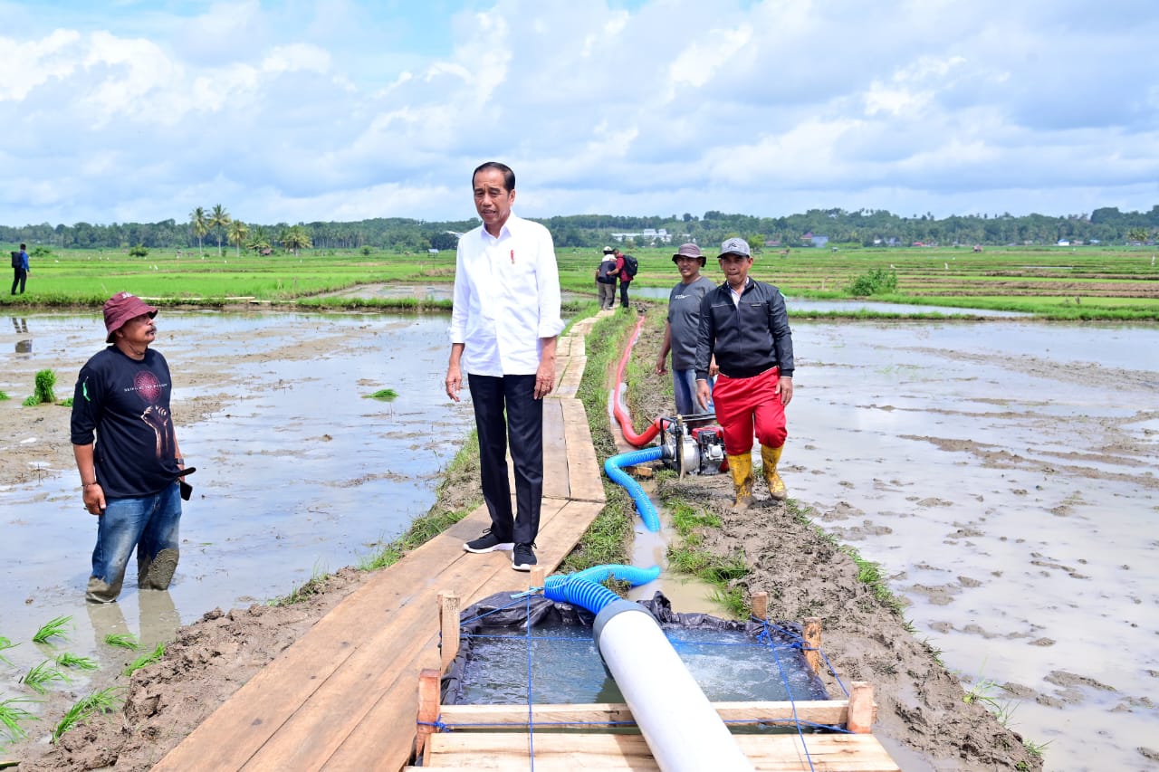 Presiden Jokowi dan Ibu Iriana Tinjau Pelaksanaan Bantuan Pompa Irigasi di Sulawesi Selatan