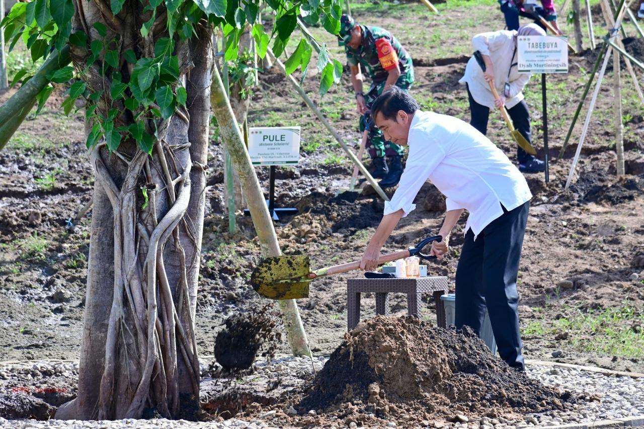 Tanam Pohon Bersama Masyarakat, Presiden: Ini Tindakan Nyata Hadapi Perubahan Iklim