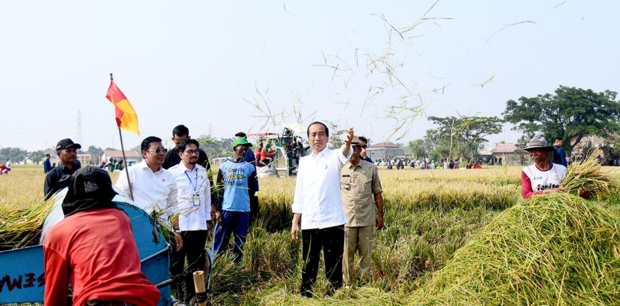 Panen Raya di Subang, Presiden: Diharapkan Tambah Cadangan Beras Kita