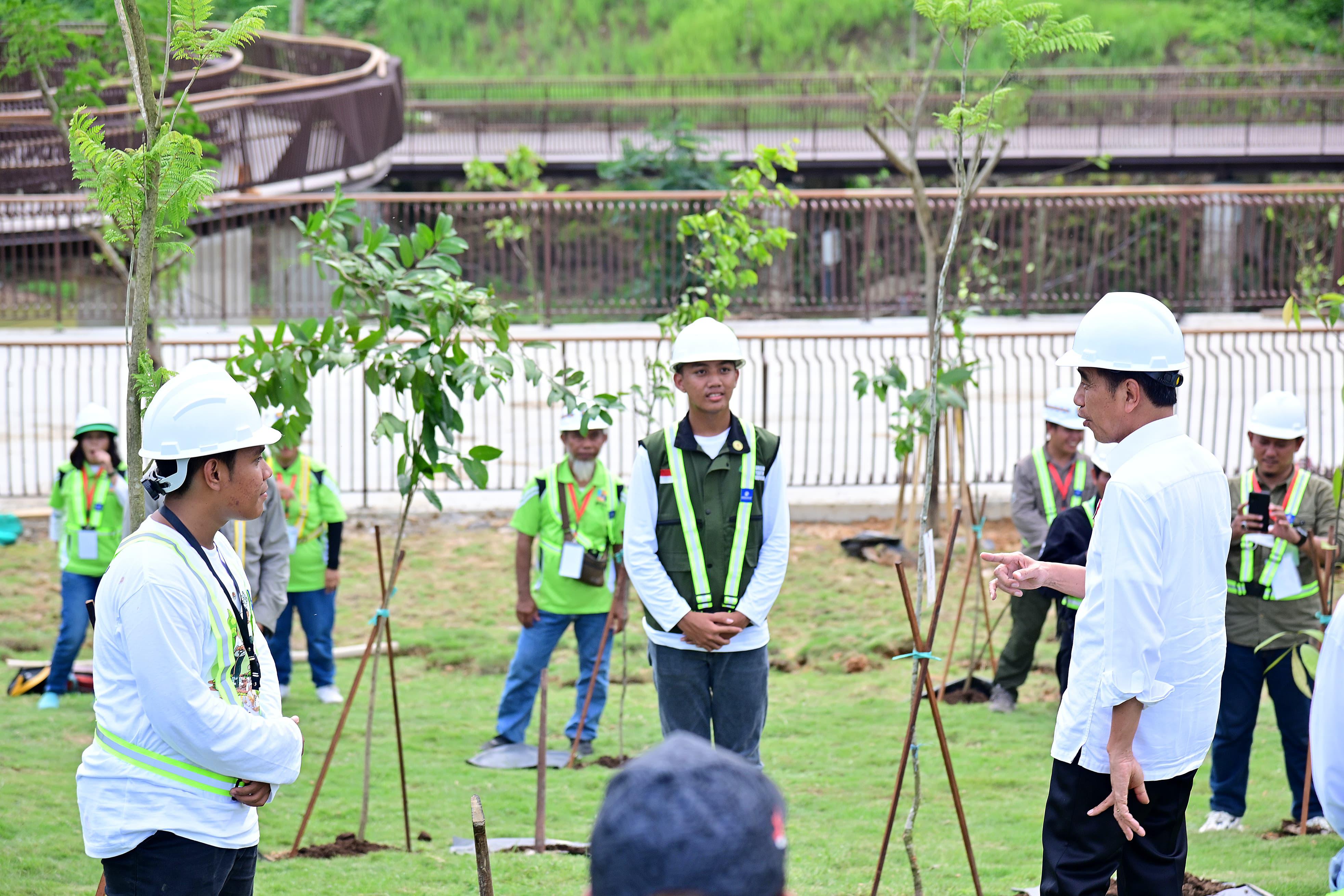 Presiden Jokowi Tanam Pohon Bersama di Area Sumbu Kebangsaan IKN