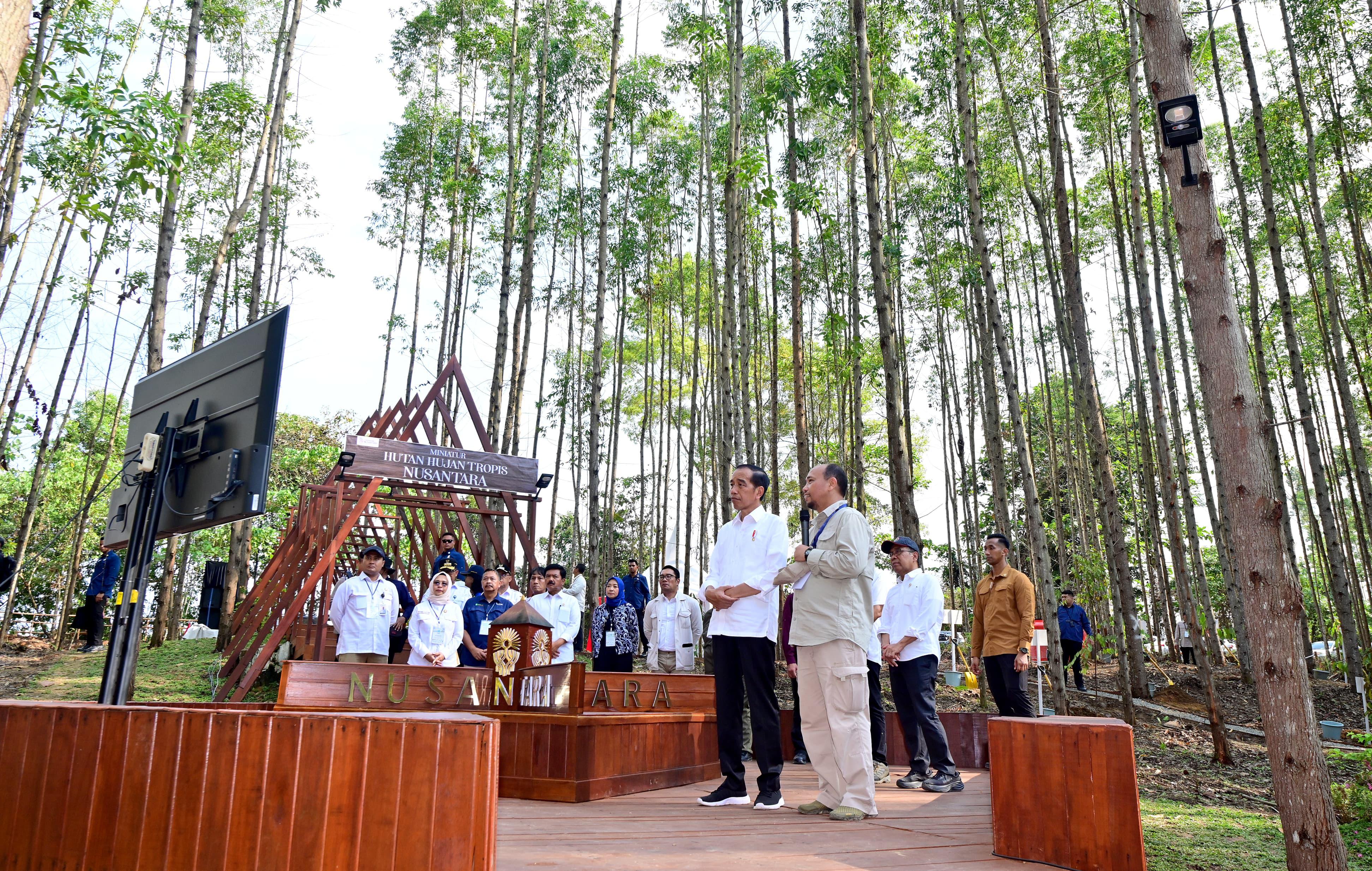 Presiden Jokowi Tinjau Miniatur Reforestrasi Hutan Tropis dan Lakukan Penanaman Pohon