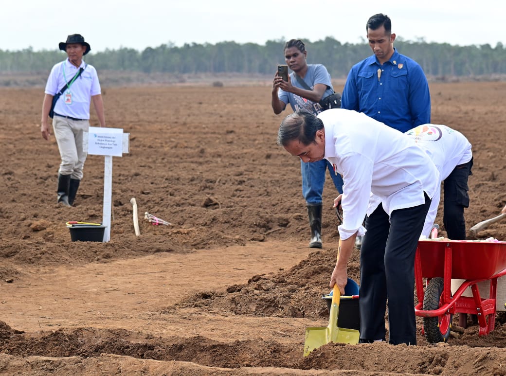 Tanam Tebu Perdana di Merauke, Presiden: Pemerintah Fokus Kembangkan Ketahanan Pangan