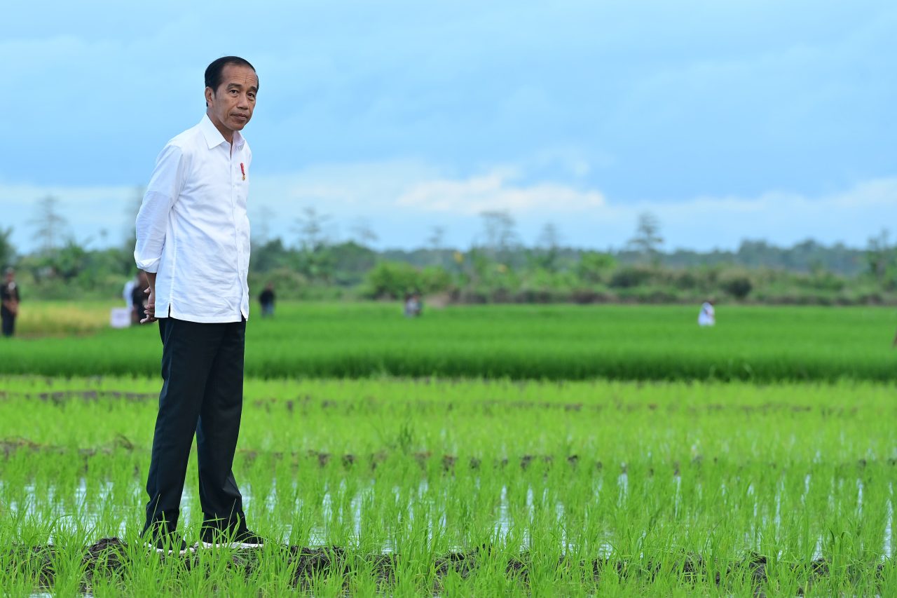 Presiden Jokowi dan Ibu Iriana Tinjau Simulasi Drone Tabur Pupuk di Papua Selatan